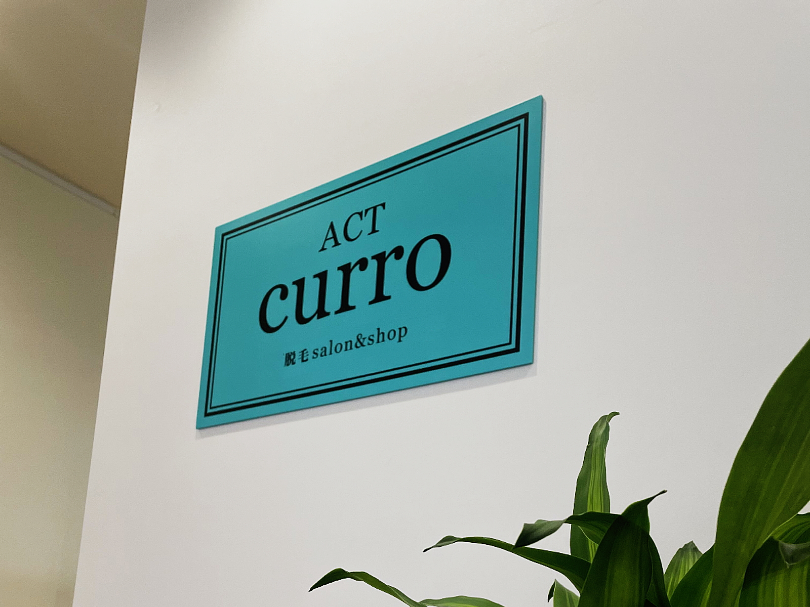 ACT CURRO（アクト クロ）店内1